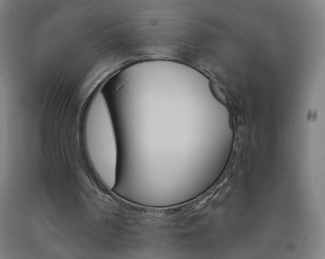 X0000093260194200709261625