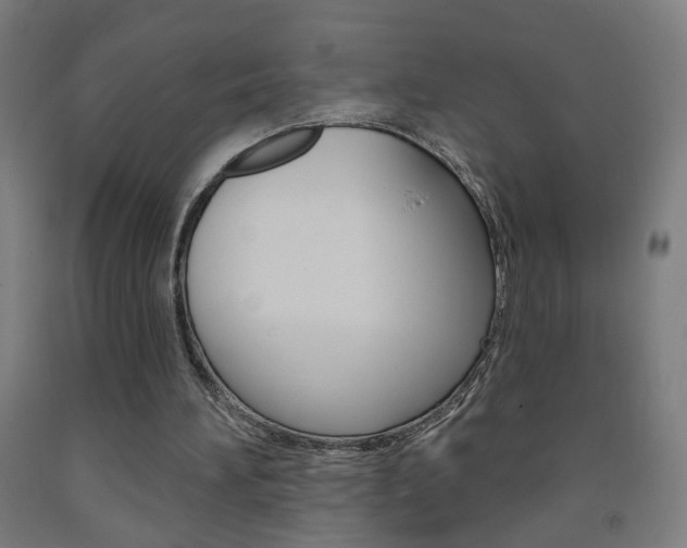 X0000093260196200709261625