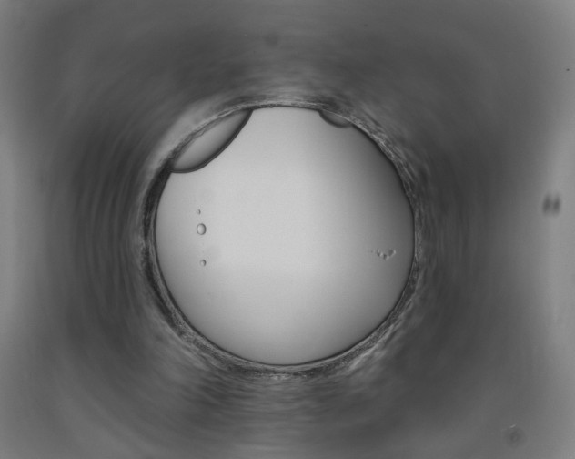 X0000093260198200709261625