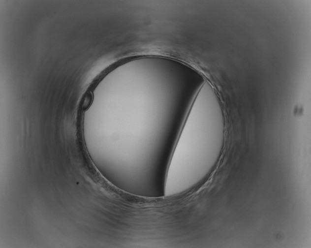 X0000093260200200709261625