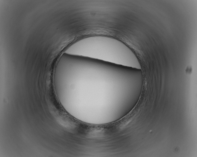 X0000093260206200709261625