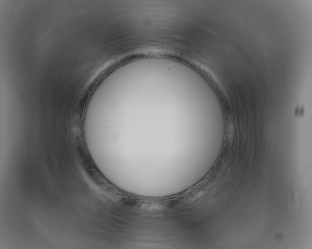 X0000093260208200709261625