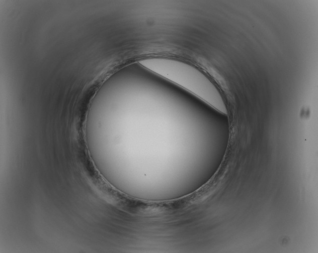X0000093260209200709261625