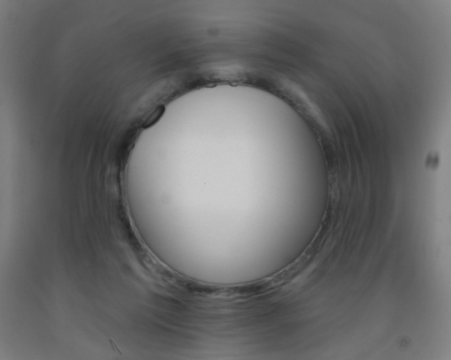 X0000093260213200709261625