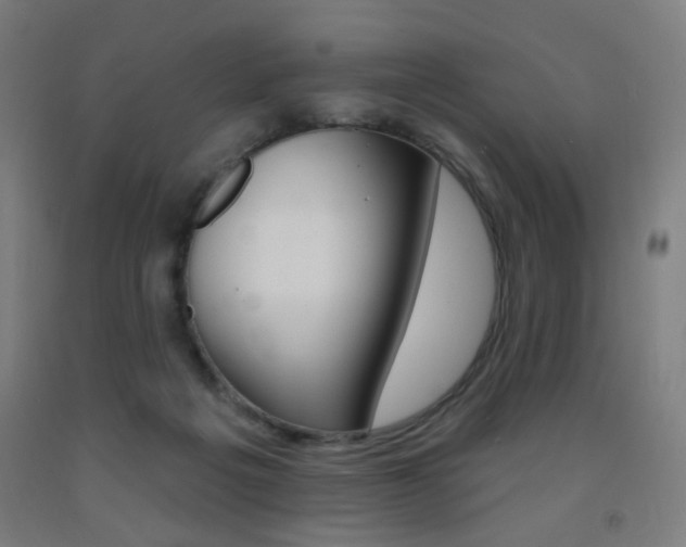 X0000093260217200709261625