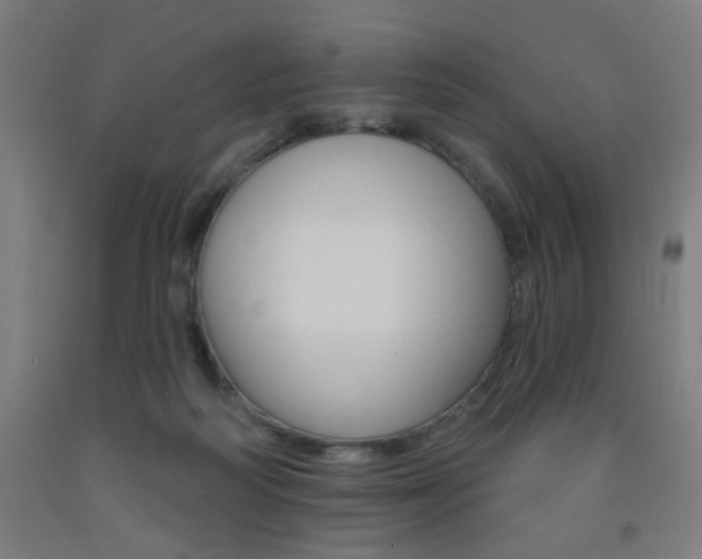 X0000093260218200709261625