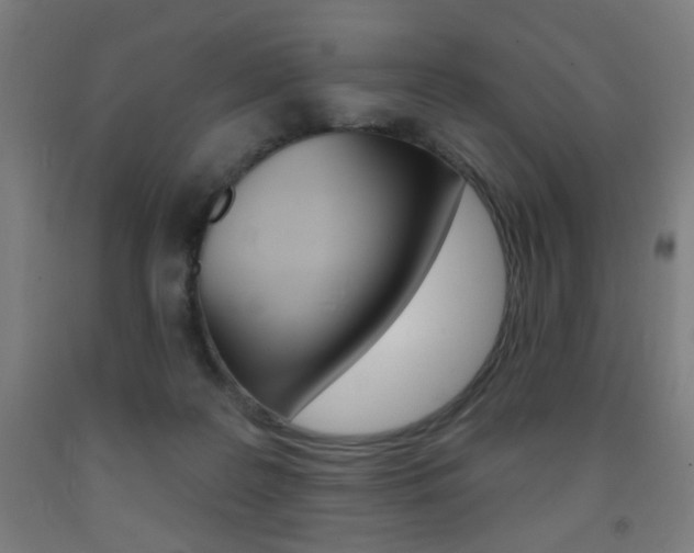 X0000093260219200709261625