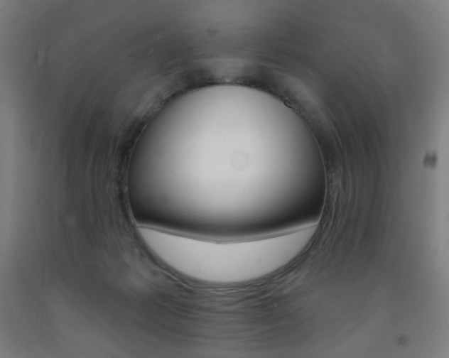 X0000093260221200709261625