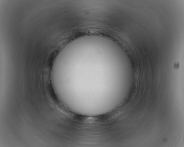 X0000093260222200709261625