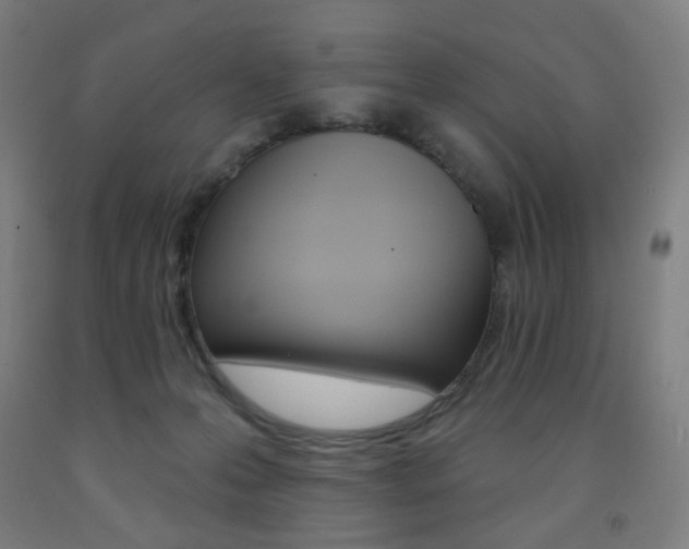 X0000093260223200709261625
