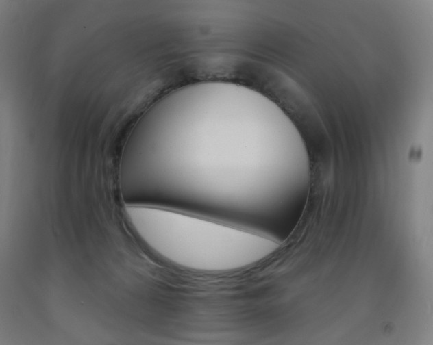 X0000093260224200709261625