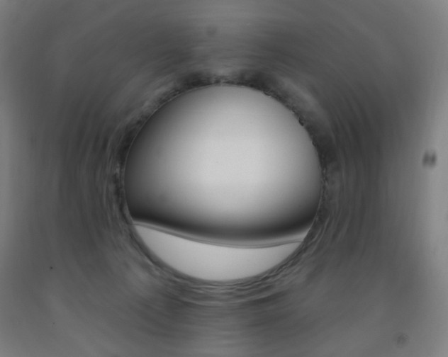 X0000093260225200709261625