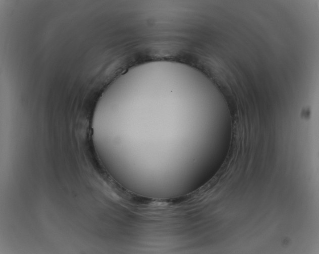 X0000093260227200709261625