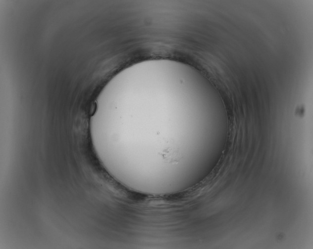 X0000093260228200709261624