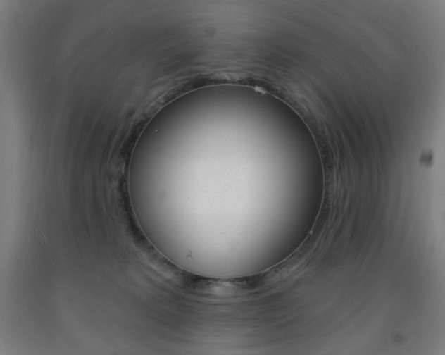 X0000093260229200709261624