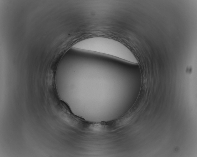 X0000093260231200709261624