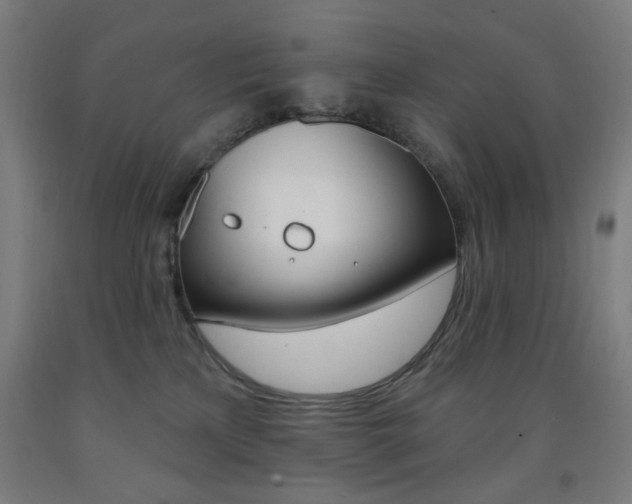 X0000093260233200709261624