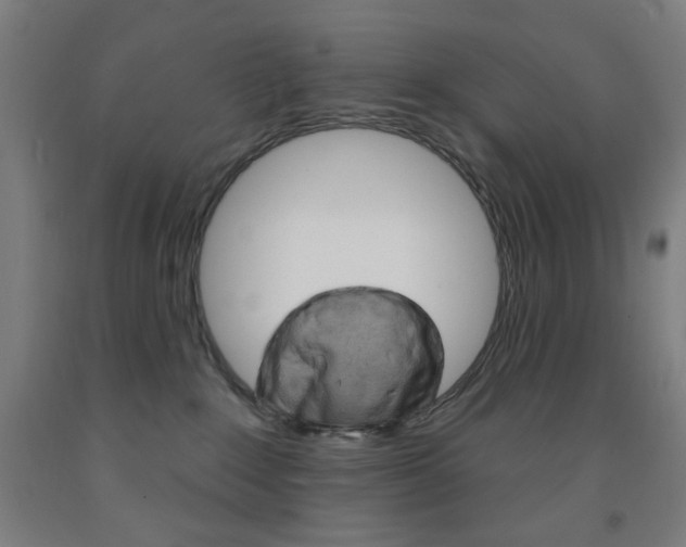 X0000093260235200709261624