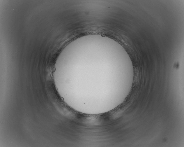 X0000093260236200709261624