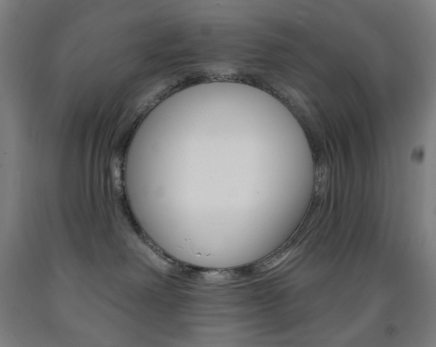 X0000093260238200709261624