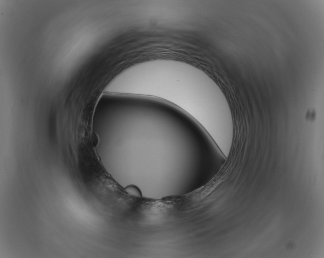 X0000093260239200709261624