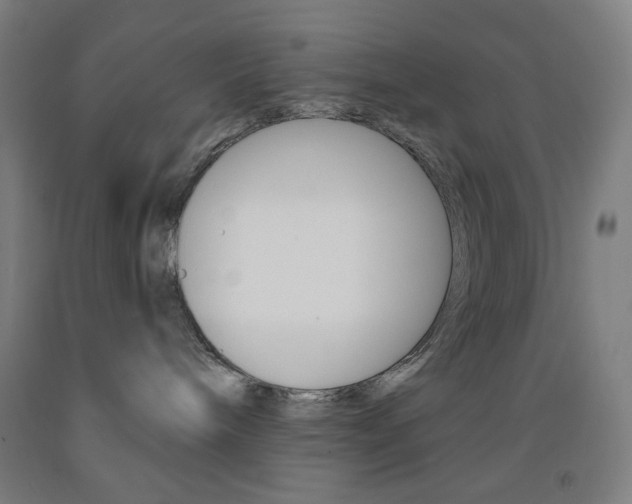 X0000093260240200709261624
