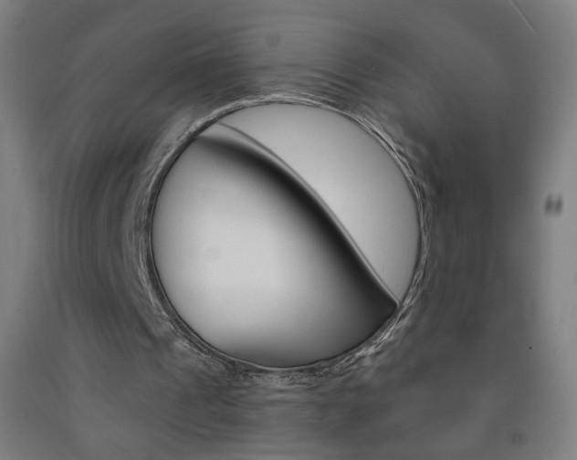 X0000093260241200709261624