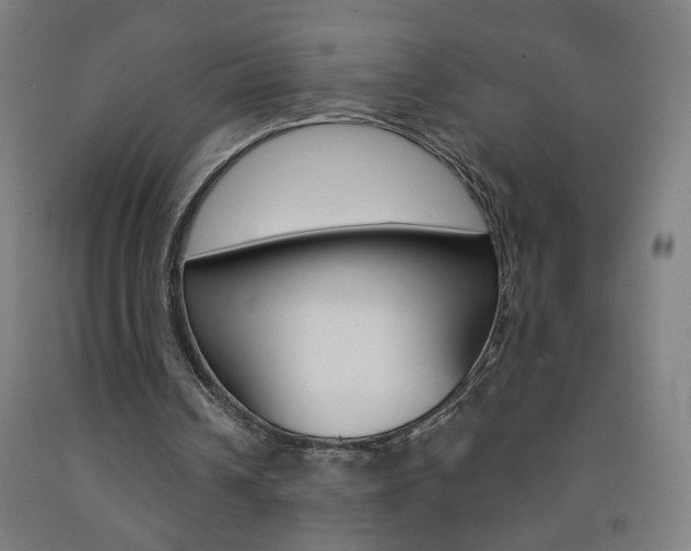 X0000093260242200709261624