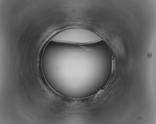 X0000093260243200709261624