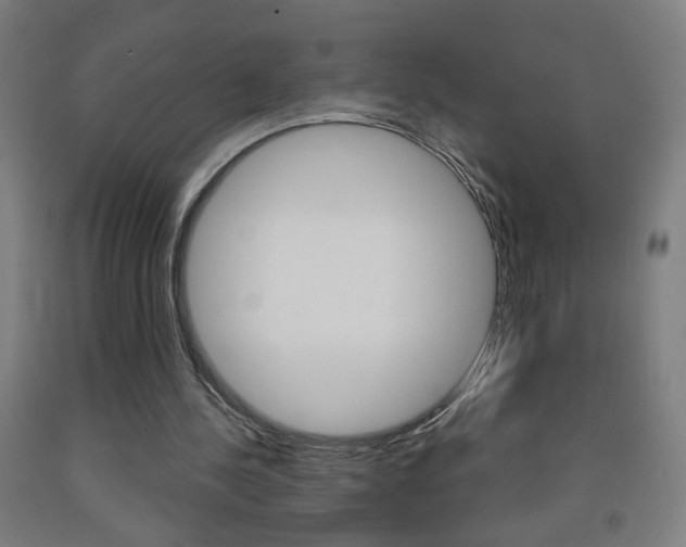 X0000093260244200709261624