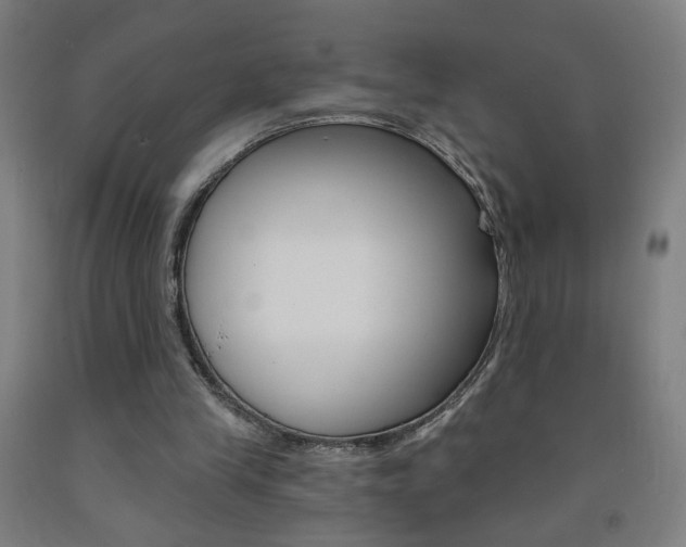 X0000093260245200709261624