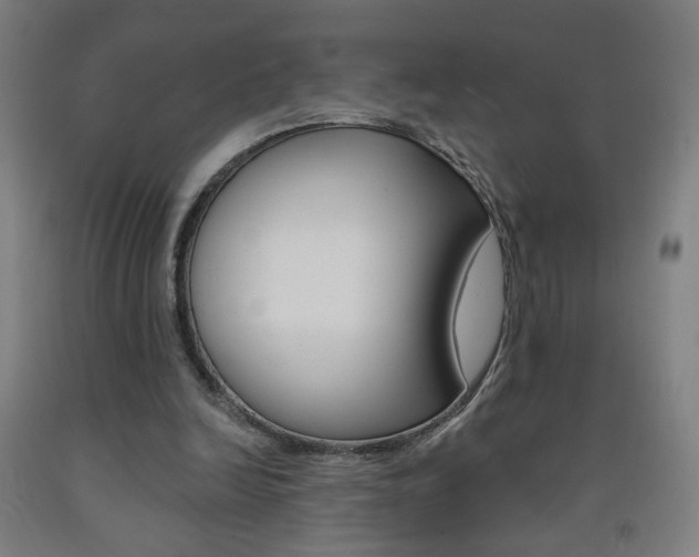 X0000093260246200709261624