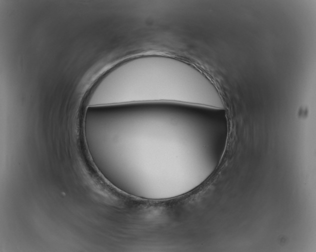X0000093260247200709261624