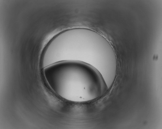 X0000093260248200709261624