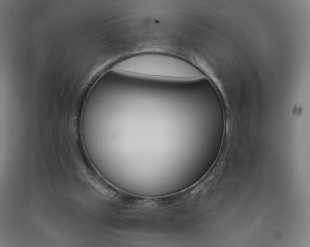 X0000093260249200709261624