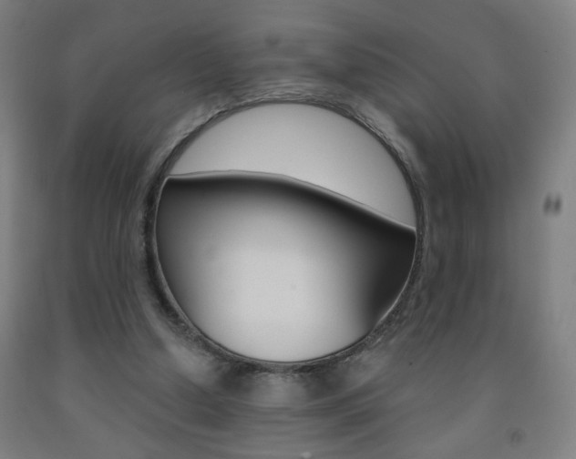 X0000093260250200709261624