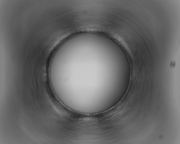 X0000093260251200709261624