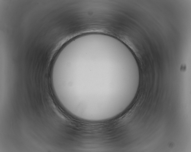 X0000093260252200709261624