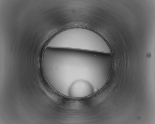 X0000093260254200709261624