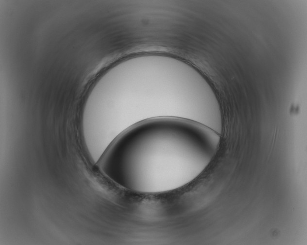 X0000093260256200709261624