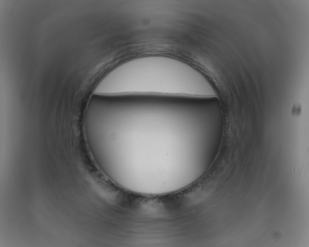 X0000093260258200709261624