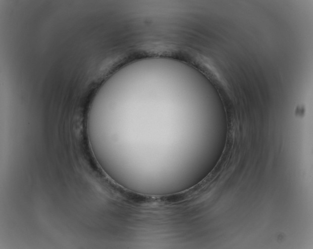 X0000093260259200709261624