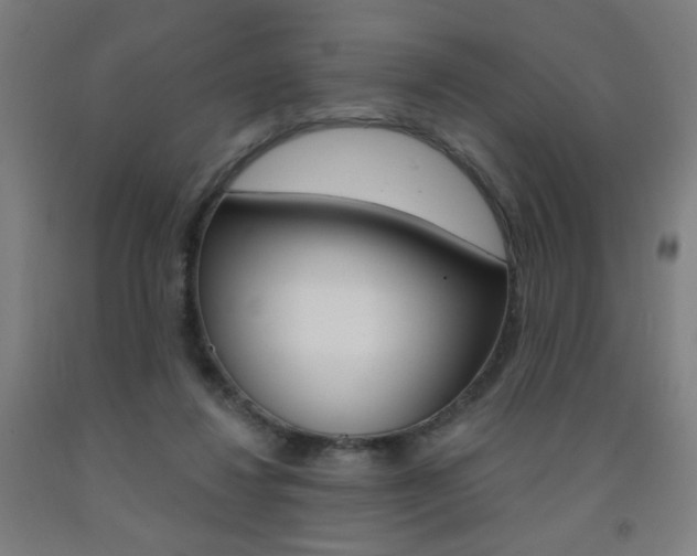 X0000093260260200709261624