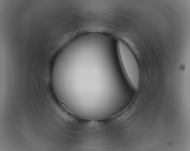 X0000093260261200709261624