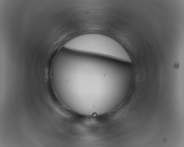 X0000093260262200709261624