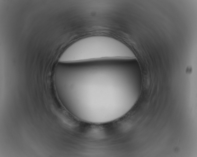X0000093260263200709261624
