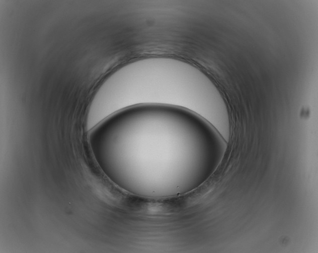X0000093260264200709261624