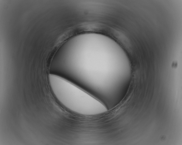 X0000093260265200709261624
