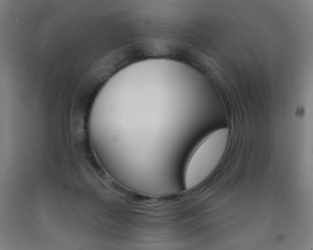 X0000093260267200709261624