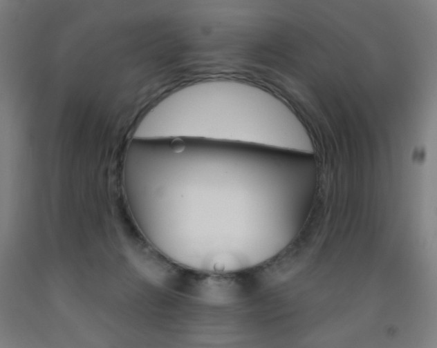 X0000093260270200709261624